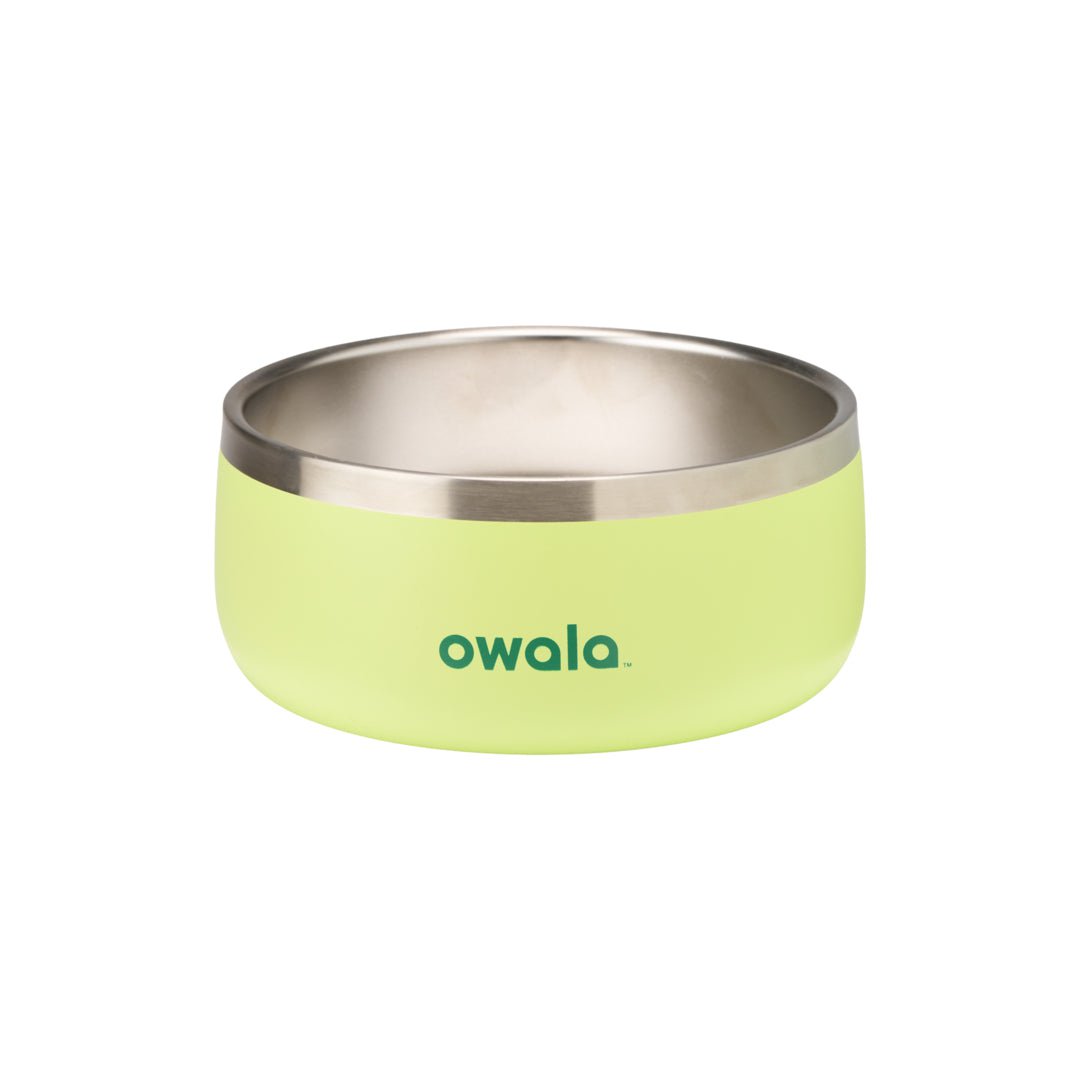 Pet Bowl Water Bottle 36S6S9