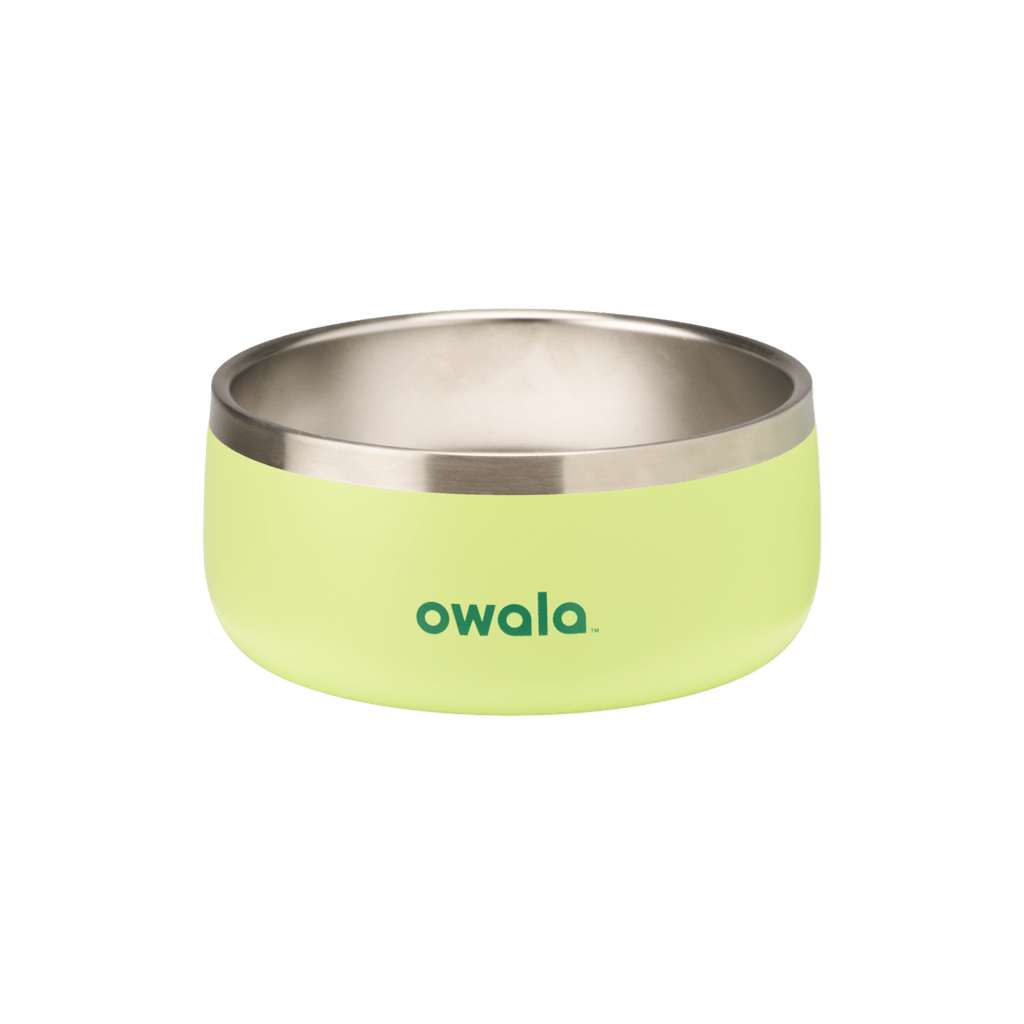 Pet Bowl Water Bottle 36S6S9