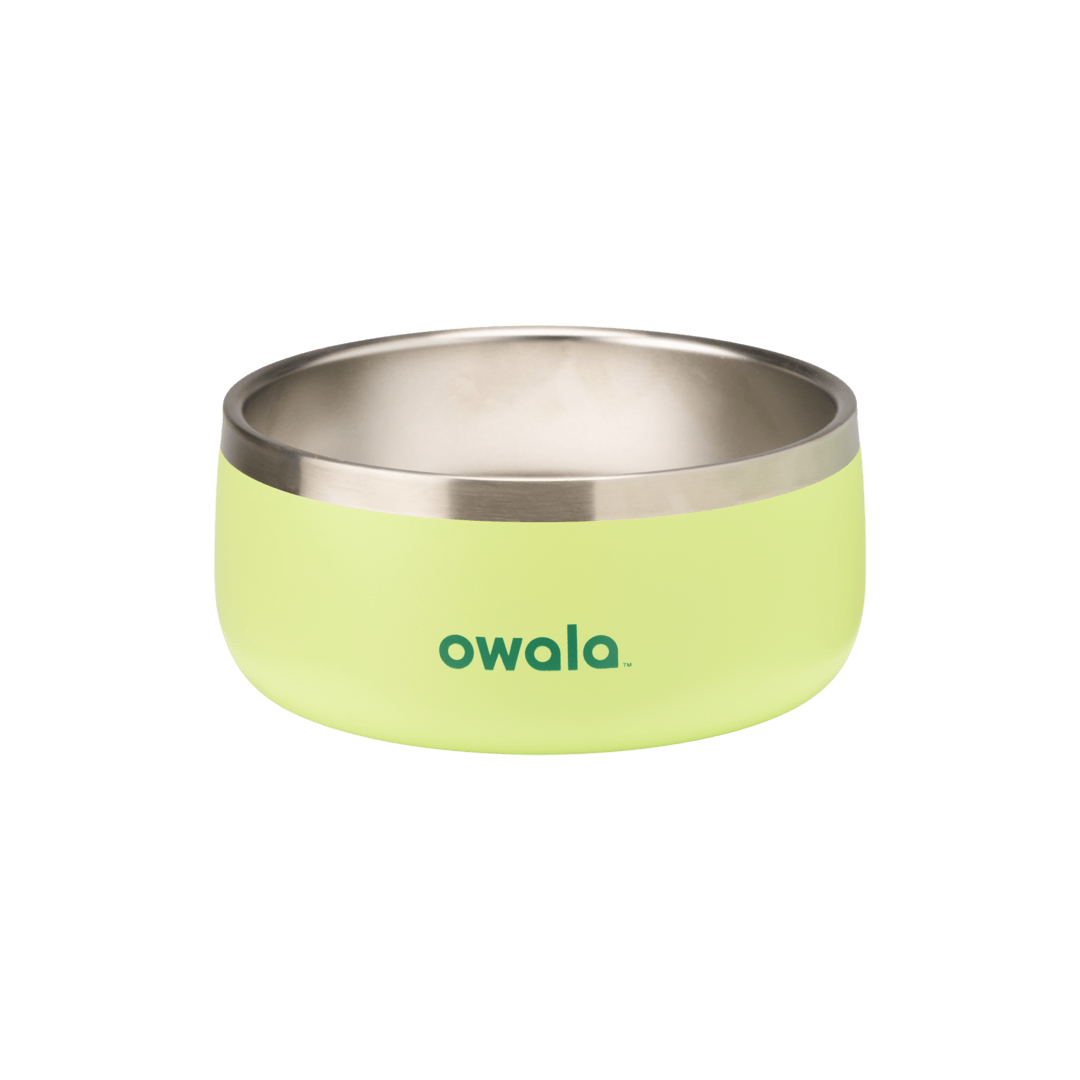 Pet Bowl Water Bottle 36S6S9
