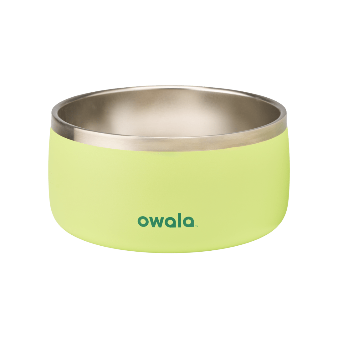 Pet Bowl Water Bottle 36S6S9