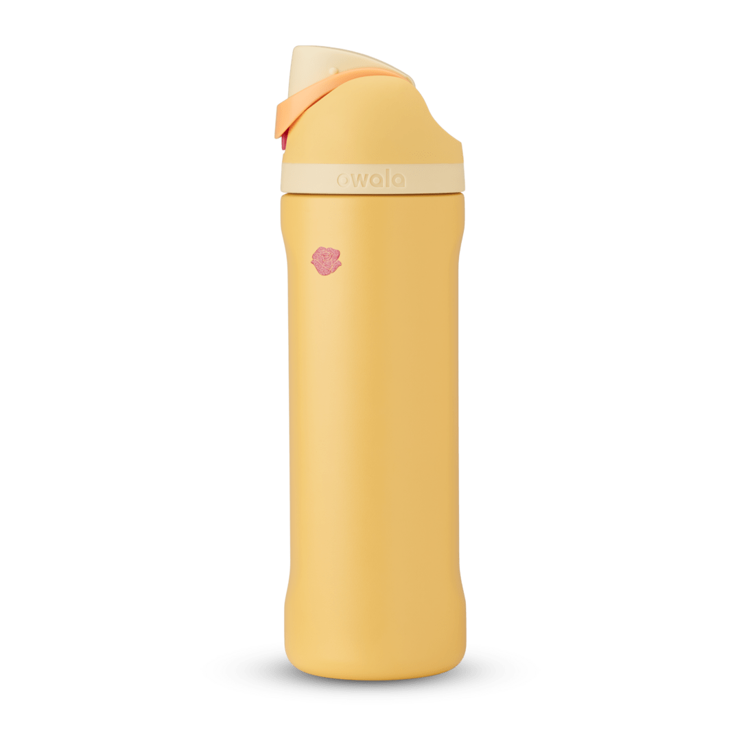 Disney Princess Collection Water Bottle FPSHWHQBU