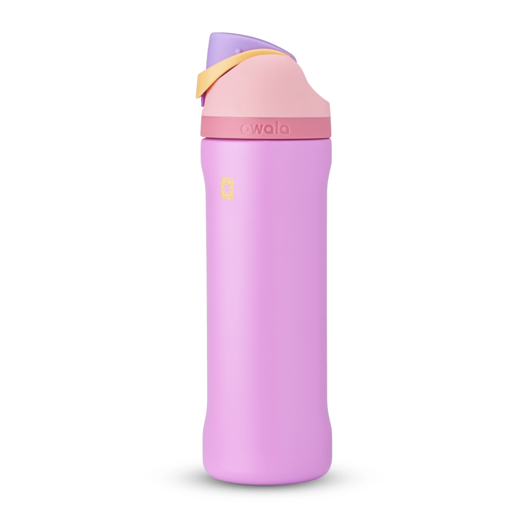 Disney Princess Collection Water Bottle FPSHWHQBU
