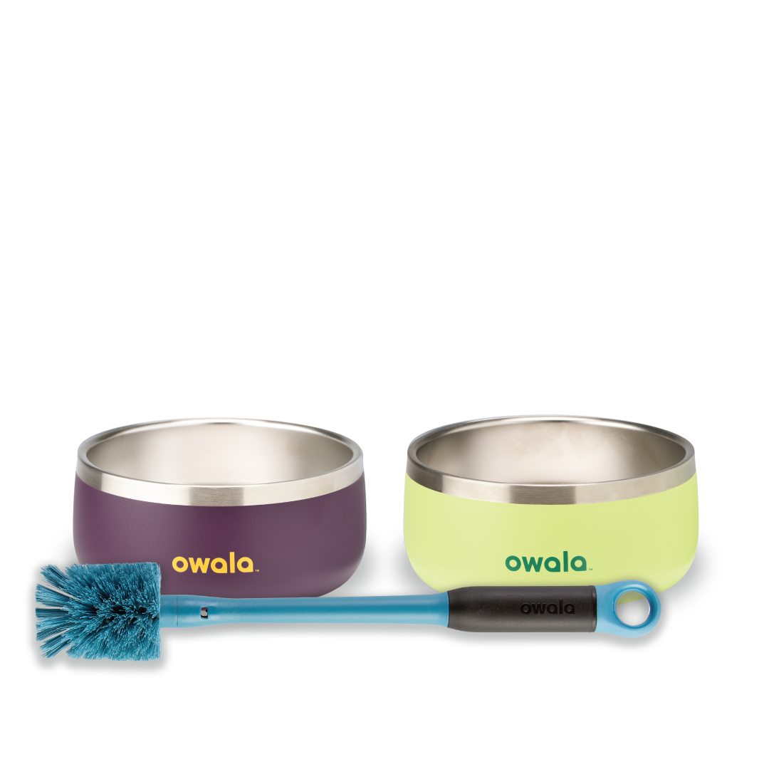 Pet Bowl Bundle Water Bottle O232B23W