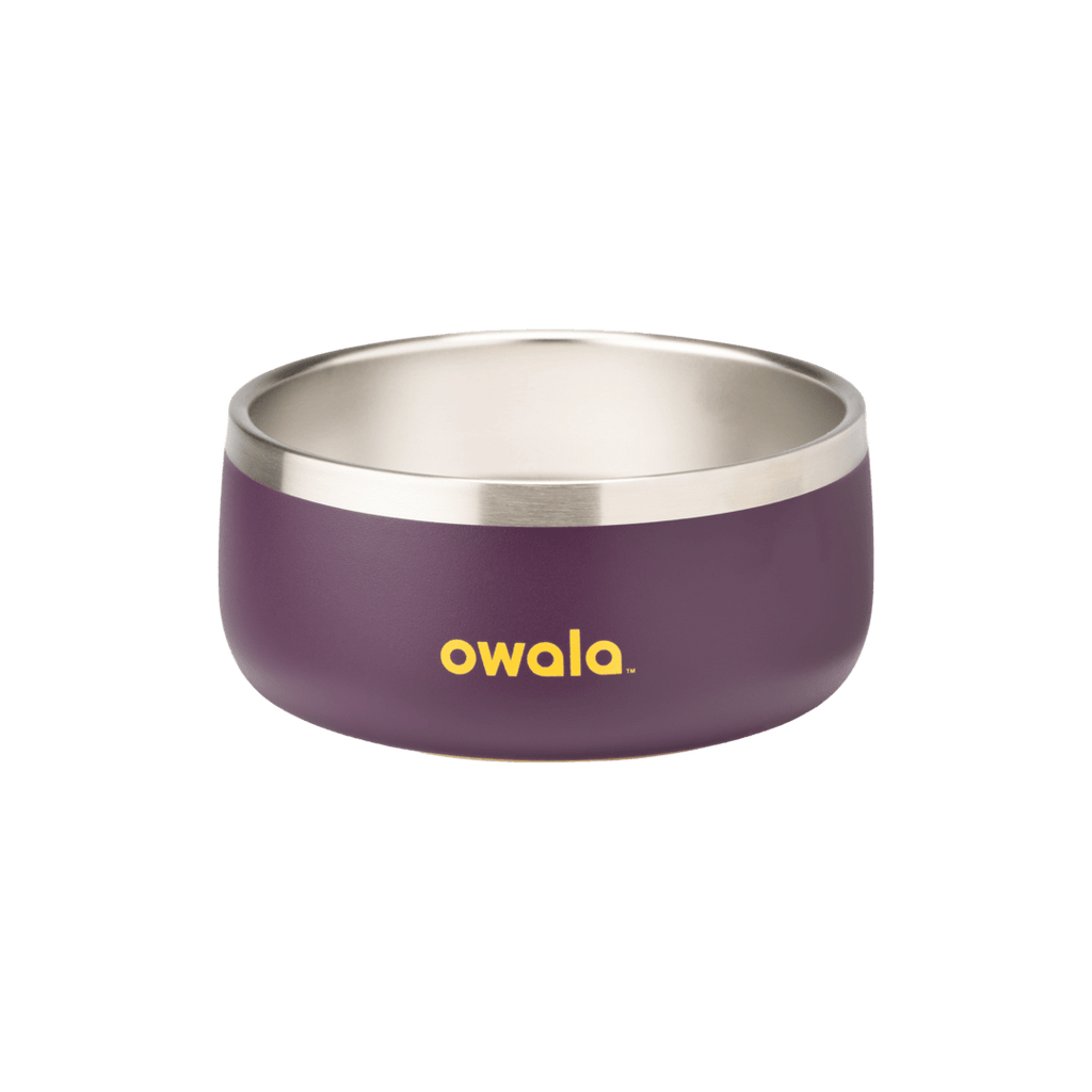 Pet Bowl Water Bottle 36S6S9