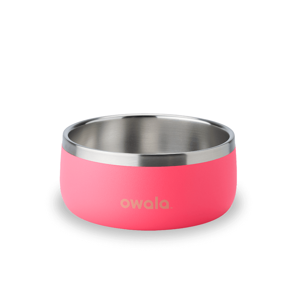 Pet Bowl Water Bottle 36S6S9
