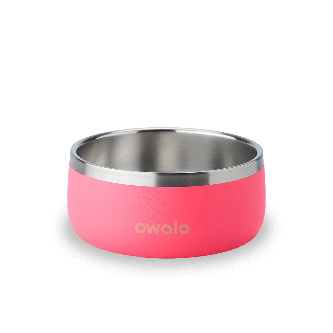 Pet Bowl Water Bottle 36S6S9