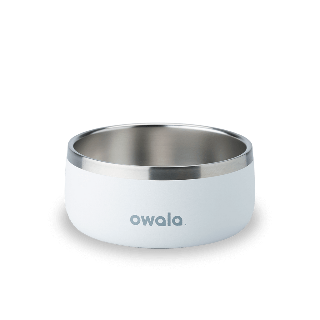 Pet Bowl Water Bottle 36S6S9