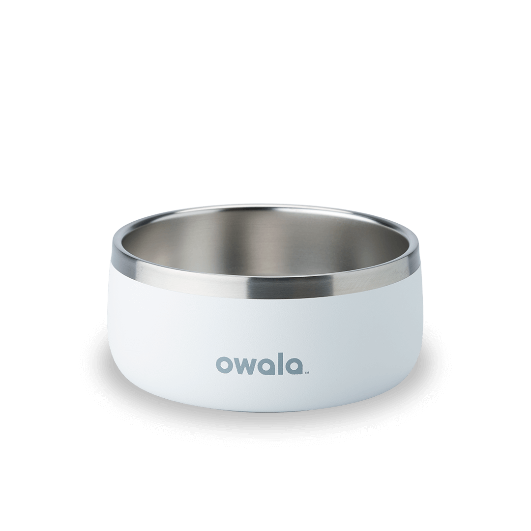 Pet Bowl Water Bottle 36S6S9