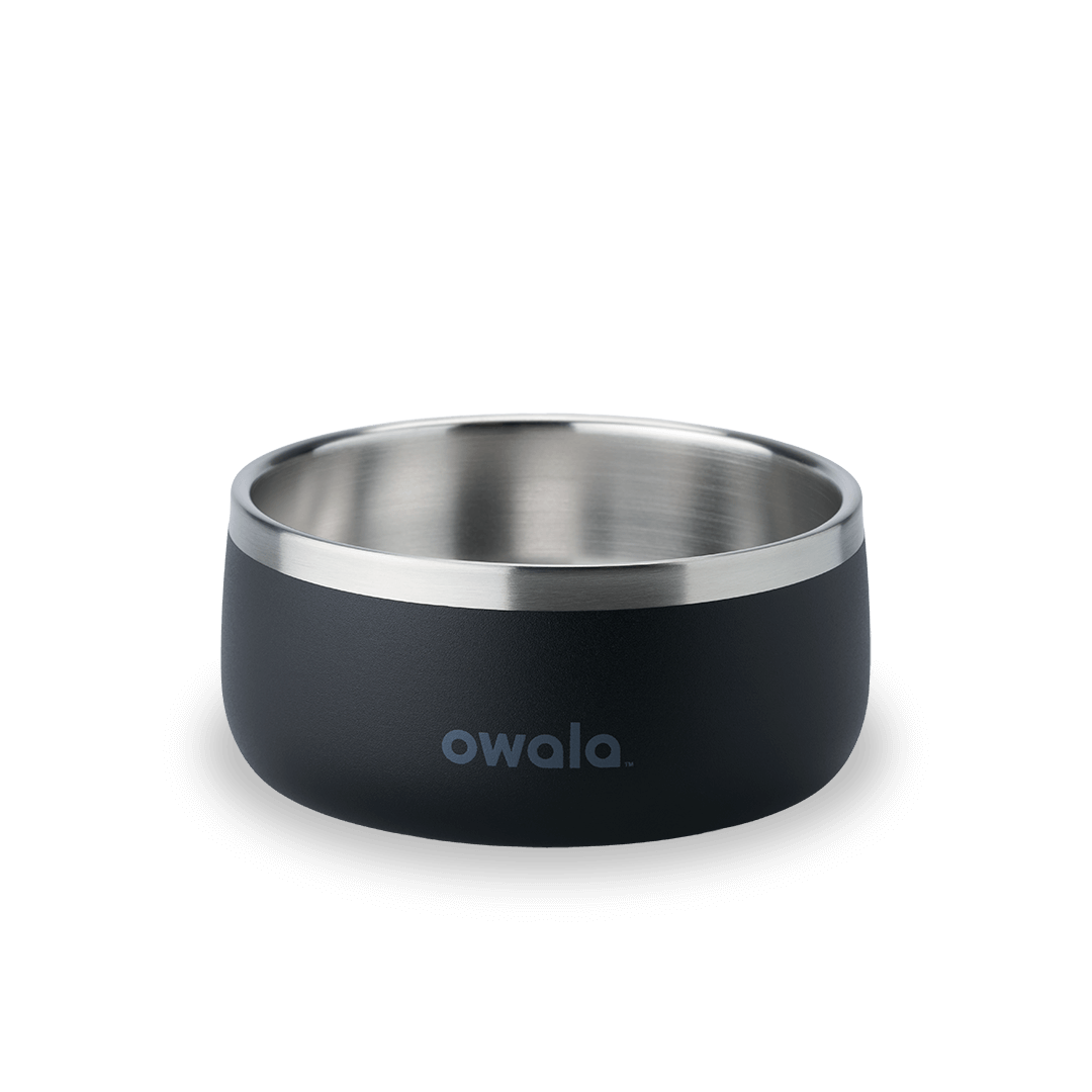 Pet Bowl Water Bottle 36S6S9