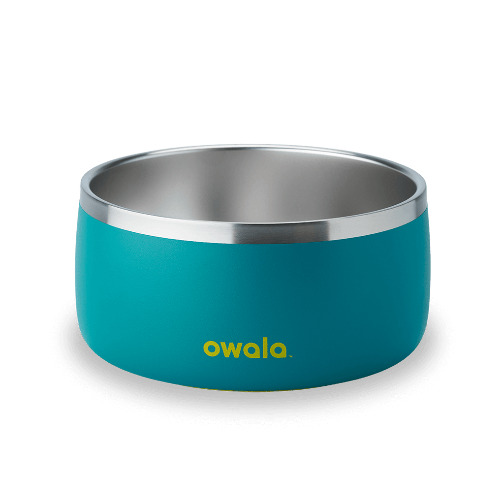 Pet Bowl Water Bottle 36S6S9