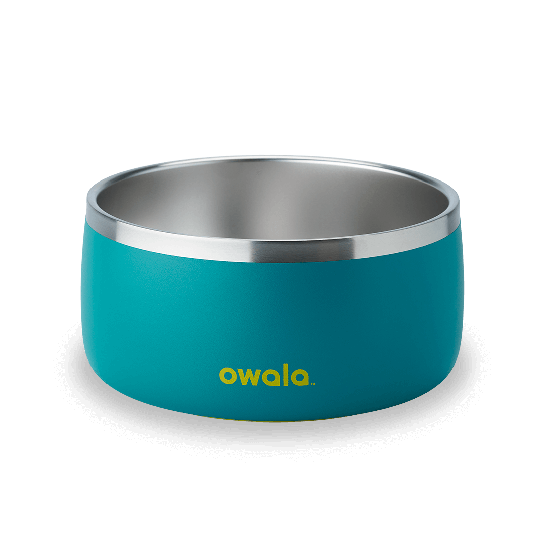 Pet Bowl Water Bottle 36S6S9